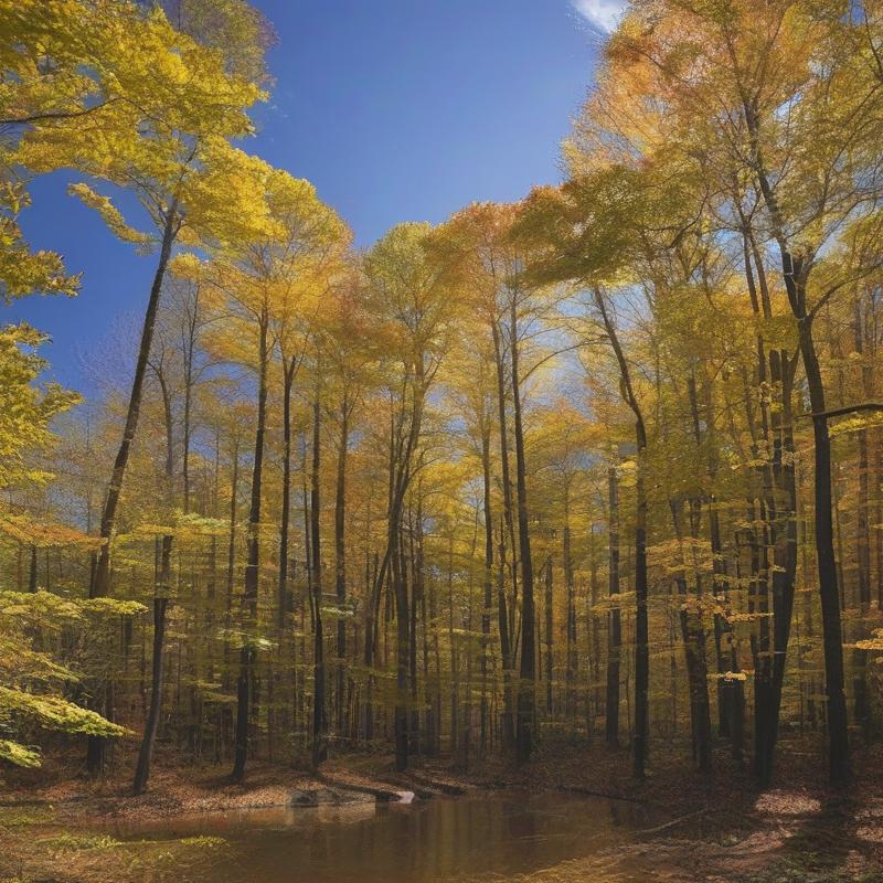 Tuckahoe State Park